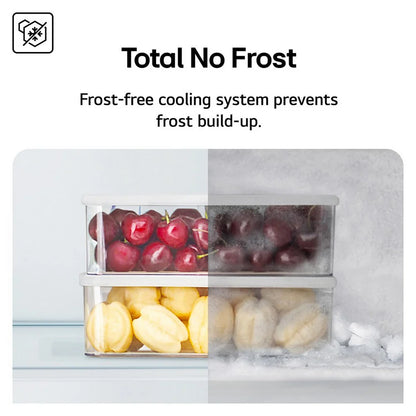 LG GSLC40EPPE 638L NatureFRESH Plumbed American Fridge Freezer Black
